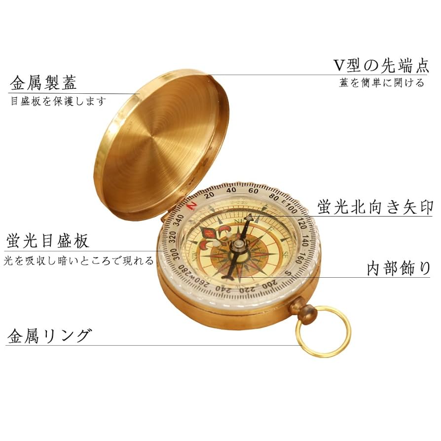 61d00dJ+-HL._UF894,1000_QL80_.jpg